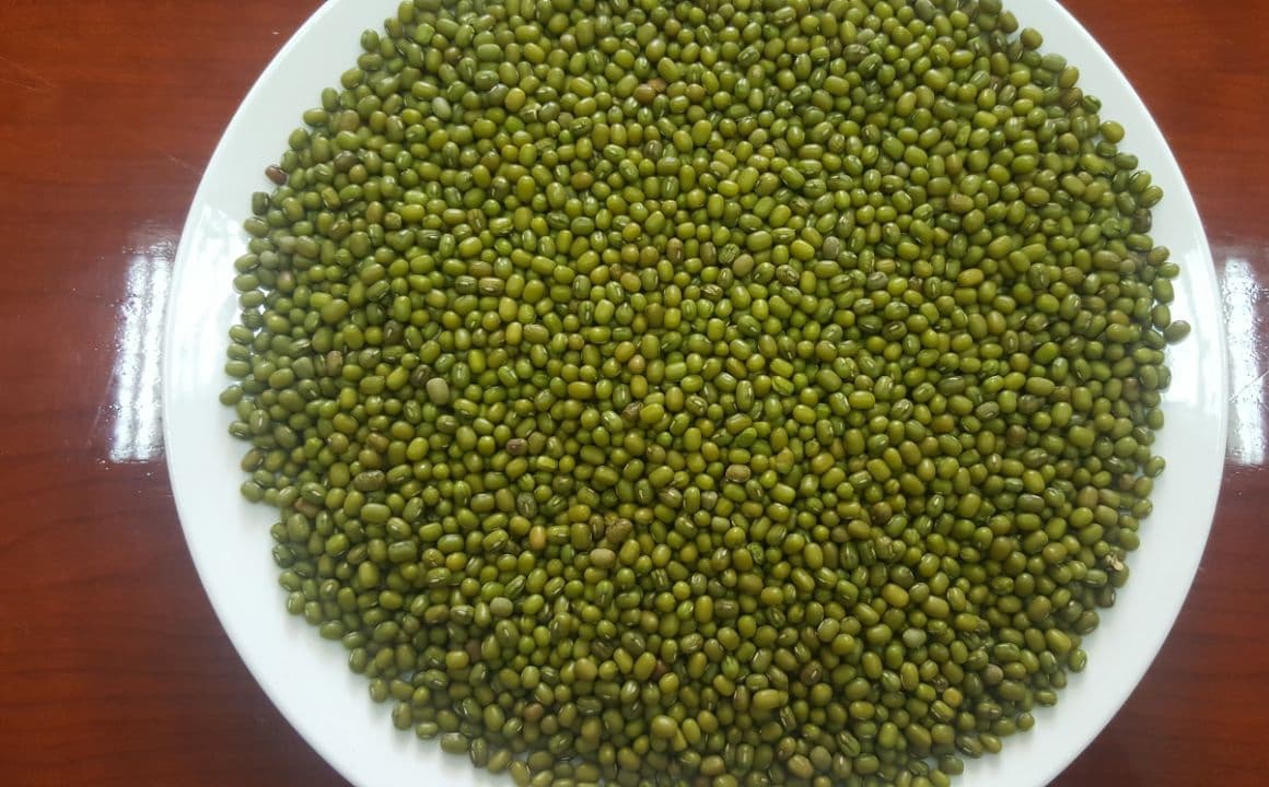 Green Mung Bean 2017 crop supply different size mung beans